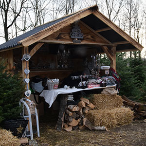 Aussteller - Weihnachtsmarkt mit Baumschlagen